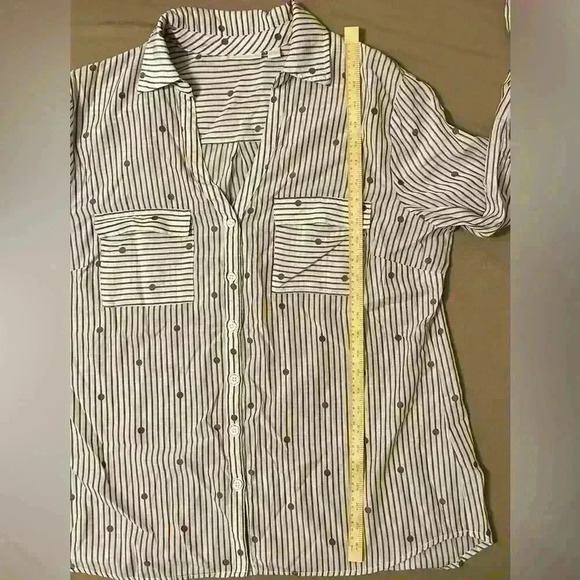 New York & Company Women’s Sheer Stripe Polka Dot Blouse Mauve Size XL - Picture 5 of 9